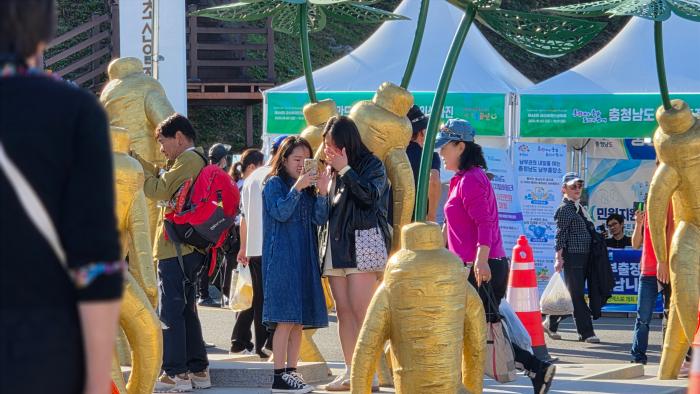 30 여만명 인파"인산인해 이룬 금산!" 세계인삼축제, 전국 관광객 몰리며 연일 '대대적 흥행'