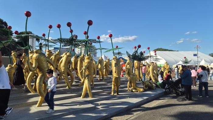 금산세계인삼축제정구진기자